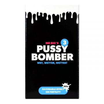 The big 4 pussy bomber front
